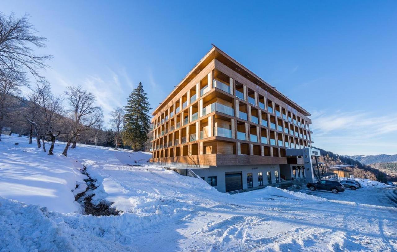 The Valley Bakuriani Belle Epoque Apartment Εξωτερικό φωτογραφία